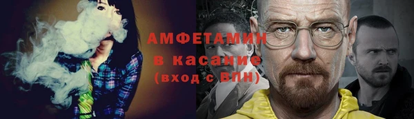 сатива Вяземский