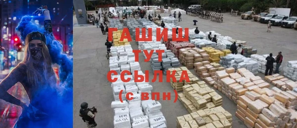 сатива Вяземский