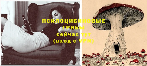 соль курить ск Вязьма
