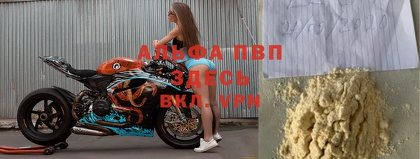 сатива Вяземский