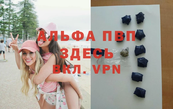 сатива Вяземский