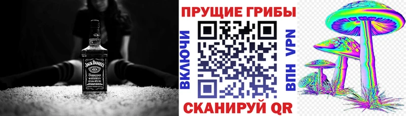 Псилоцибиновые грибы мухоморы  Купить где  Карачаевск 